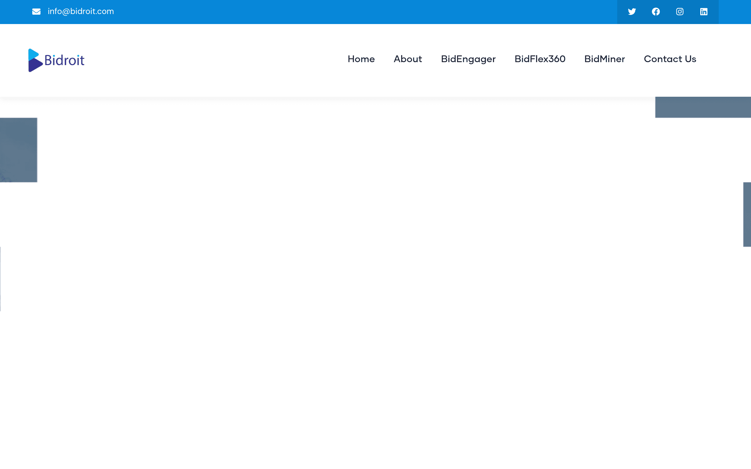 Bidroit — live website screenshot